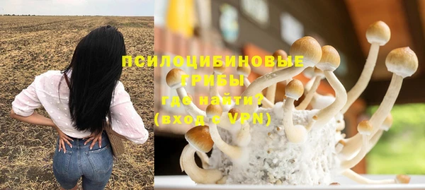 СК Няндома