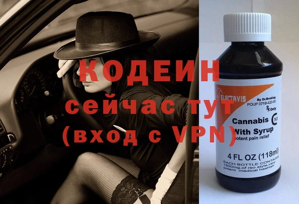 СК Няндома