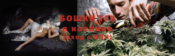 ГАЛЛЮЦИНОГЕННЫЕ ГРИБЫ Грязи