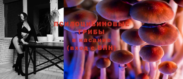 СК Няндома
