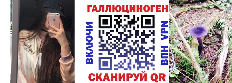 Псилоцибиновые грибы Cubensis дарнет шоп Славгород